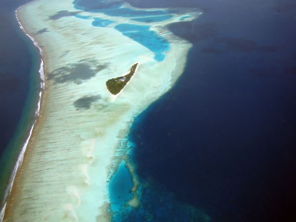 Paradise