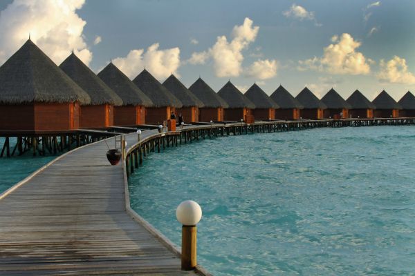 Paradise