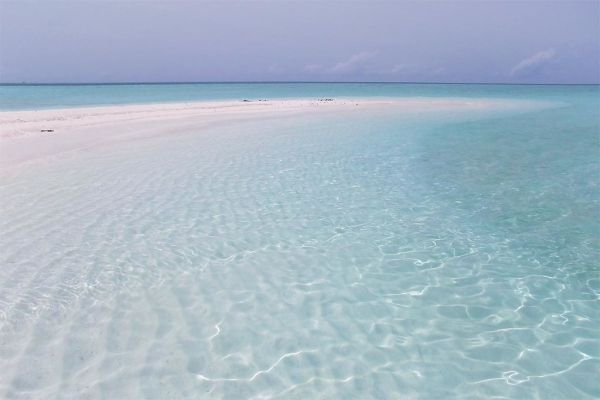 Paradise