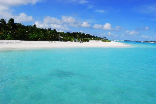 Paradise