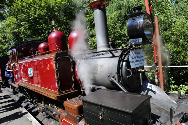 🚂 Day 4: Free Day — Puffing Billy or City Culture