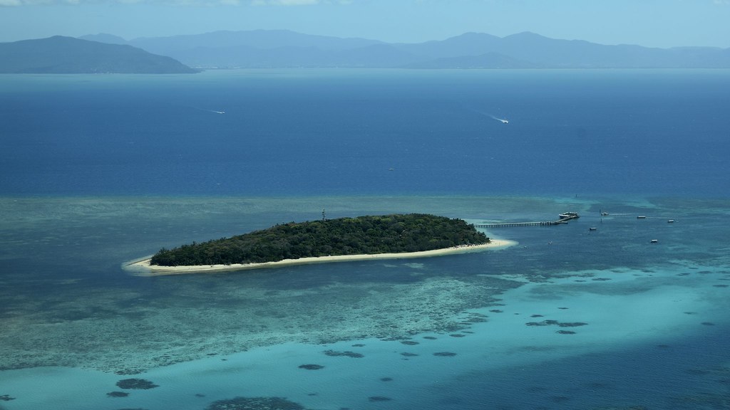 🏝️ Day 6: Free Day — Green Island or Daintree