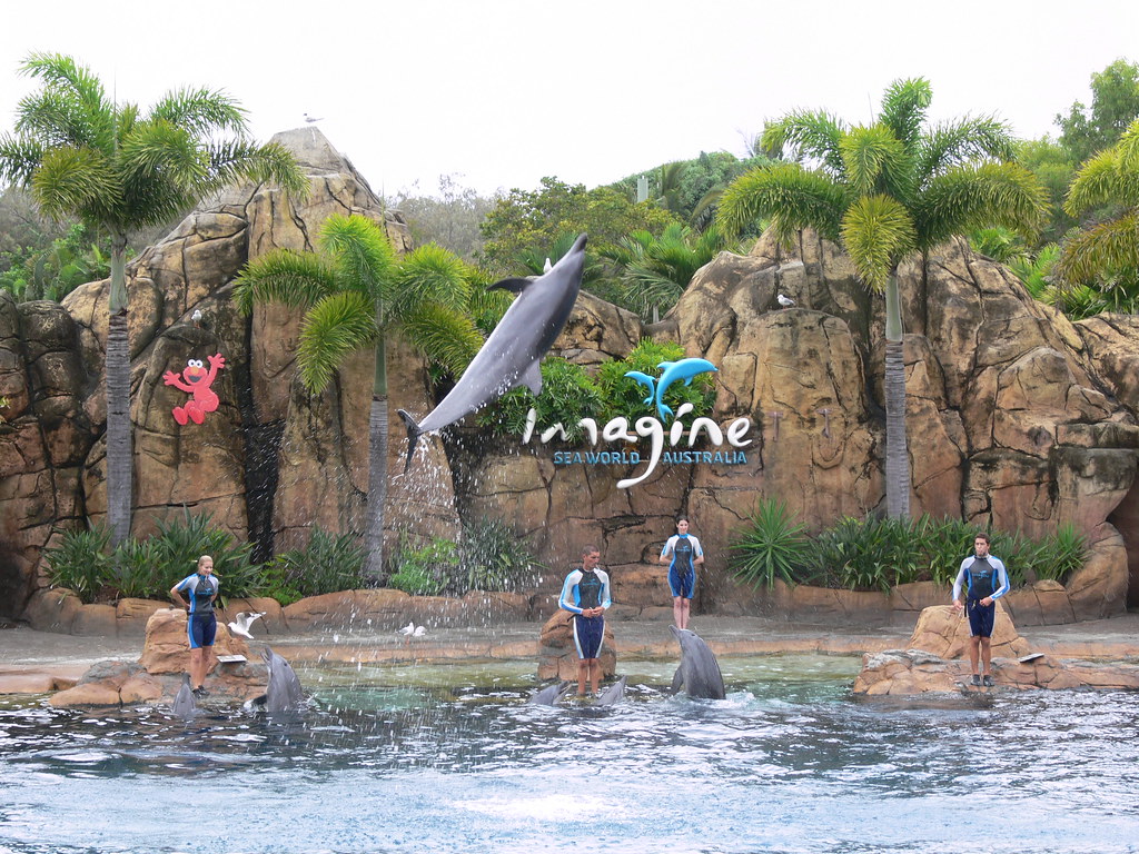 🐬 Day 3: Sea World Day
