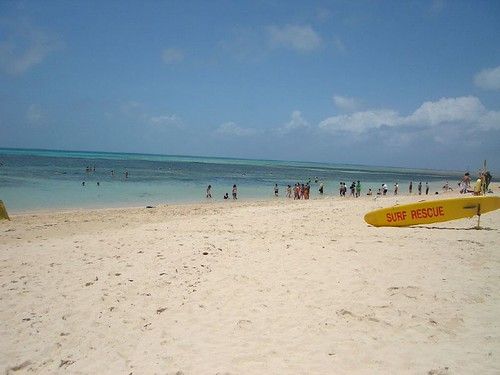 🏝️ Day 5: Green Island Escape