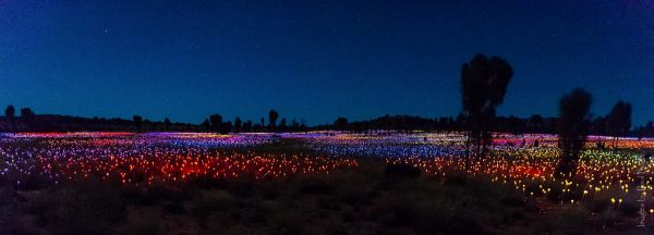 ✨ Day 5: Field of Light Evening