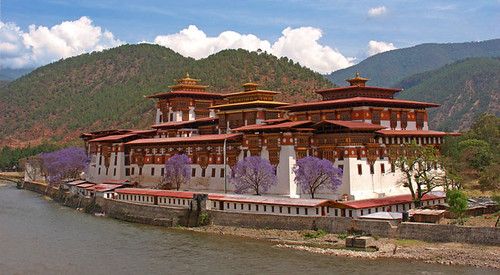 🏯 Day 4: Punakha Dzong → Phobjikha