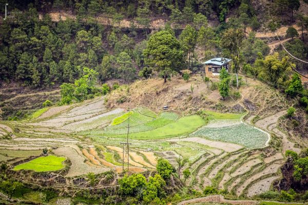 🚗 Day 4: Punakha → Paro + Farmhouse Evening