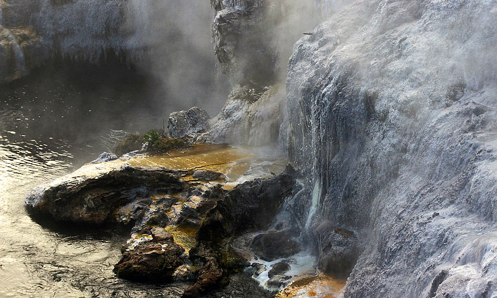 ♨️ Day 4: Te Puia Geysers + Polynesian Spa