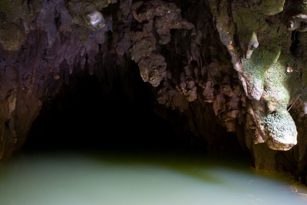 ✨ Day 3: Waitomo Glowworm Coach → Rotorua