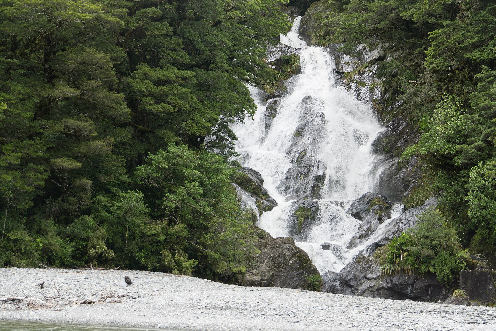 🚌 Day 3: InterCity Coach → Franz Josef (Scenic All Day)