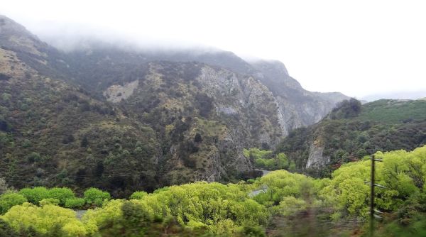 🚌🚂 Day 5: Coach to Greymouth + TRANZALPINE → Christchurch