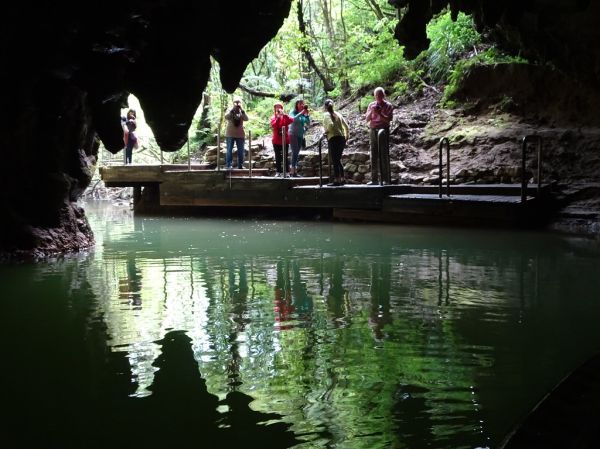 ✨ Day 3: Waitomo Coach → Rotorua (Luggage Aboard)