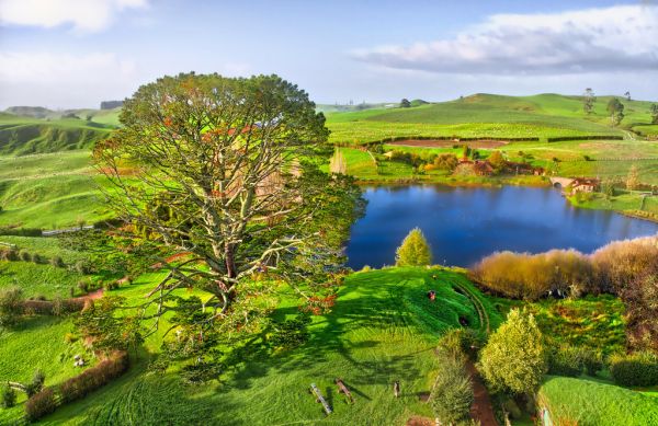 🧙 Day 5: Hobbiton + Fly South