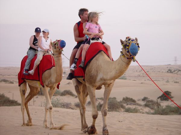 🏜️ Day 5: Desert Safari with BBQ