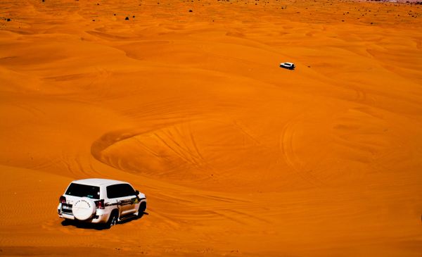 🏜️ Day 4: Desert Safari with BBQ