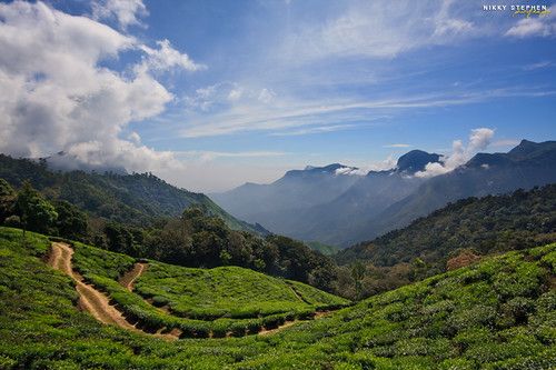 Thekkady