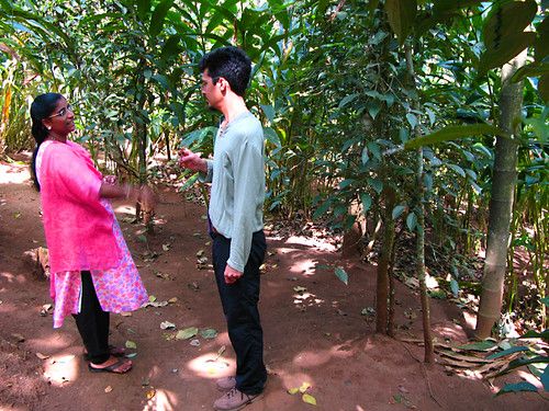 🐘 Day 3: Munnar → Thekkady