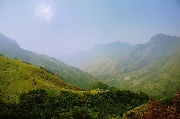 🏞️ Day 3: Munnar Full Day