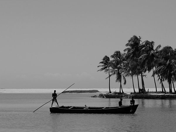 🌊 Day 3: Treatment + Poovar Backwater