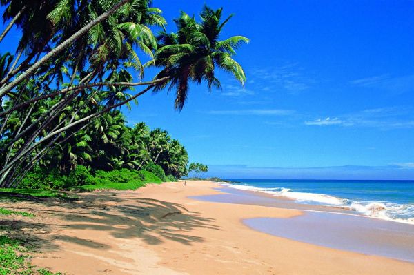 Bentota