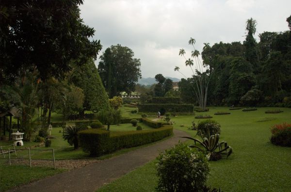 Nuwara Eliya