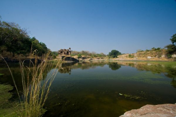 🏰 Day 4: Ranthambore Fort + Return to Jaipur