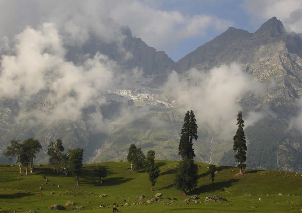 Srinagar