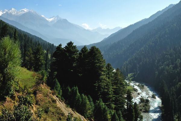 🌲 Day 4: To Pahalgam (Overnight)