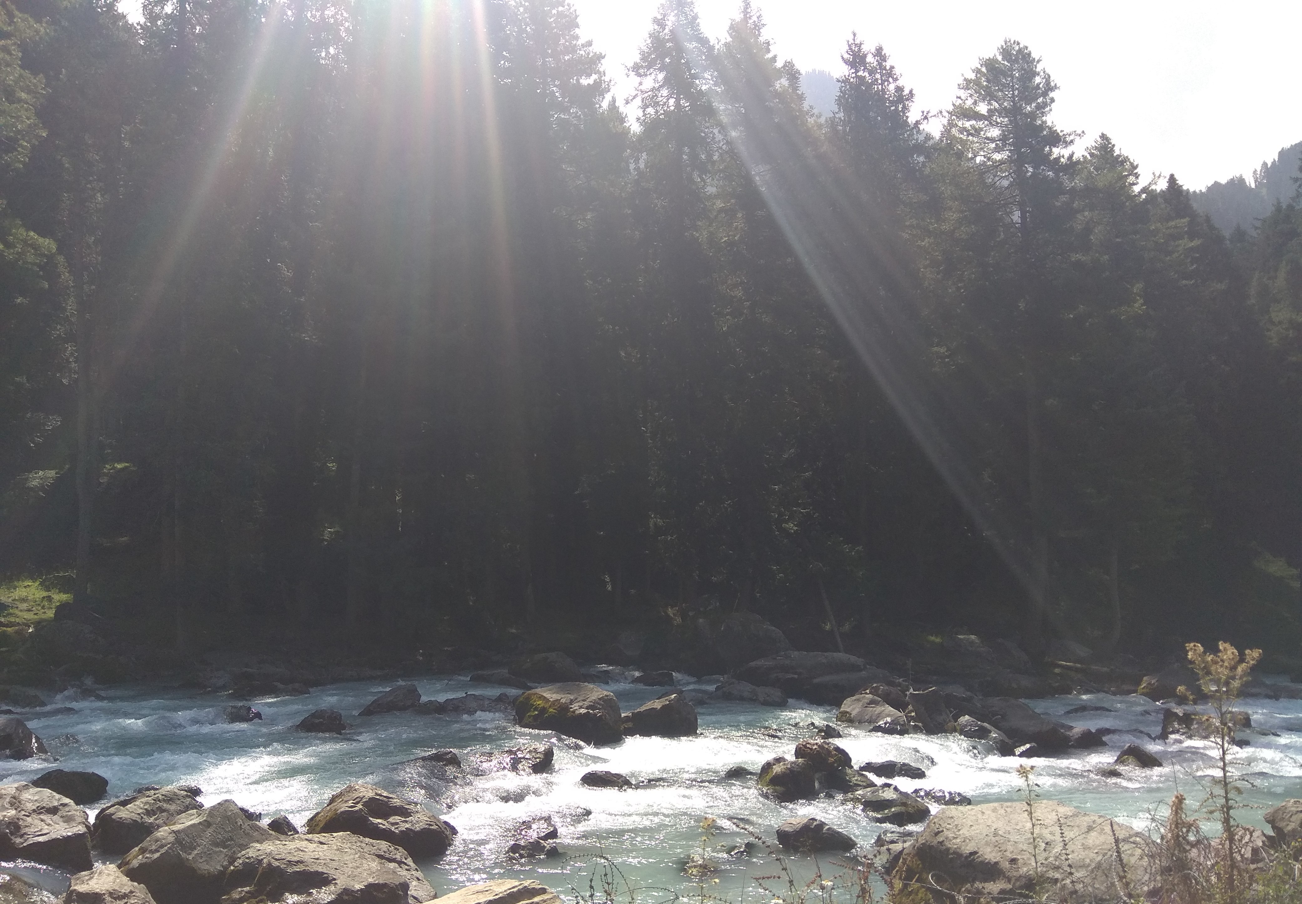 🕯️ Day 5: Betaab Valley → Srinagar + Candlelight Dinner