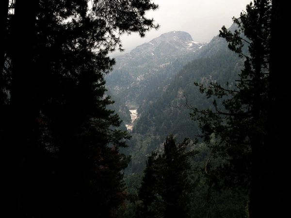 Gulmarg