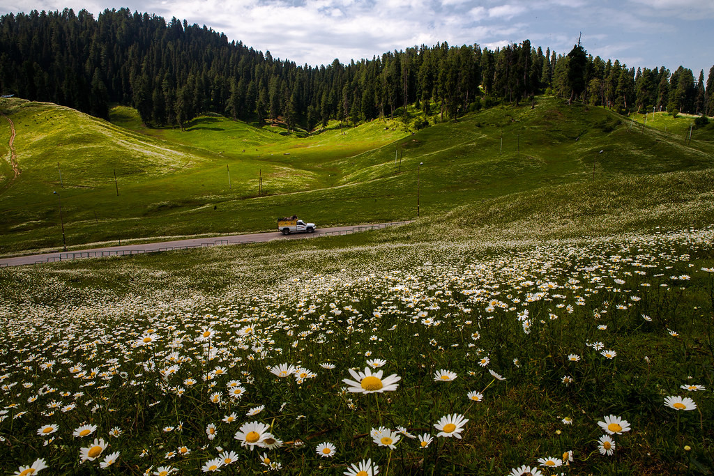 Srinagar