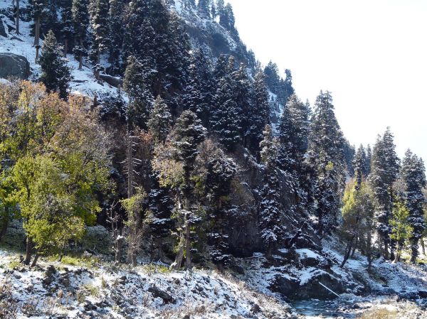 🏞️ Day 5: Pahalgam Valleys Day