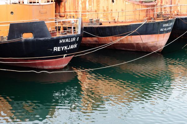 Wonders of Iceland