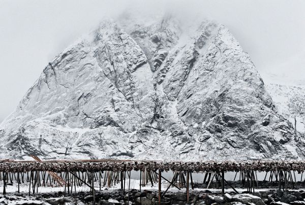 Lofoten