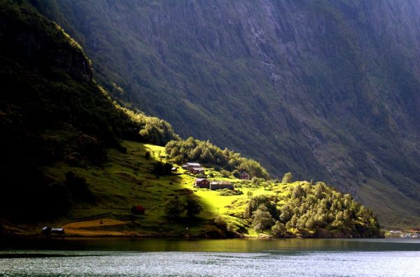 ⛴️ Day 3: Nærøyfjord Cruise → Bergen