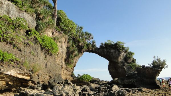 🏝️ Day 5: Neil Island