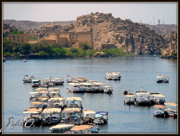 ✈️ Day 3: Fly to Aswan — 5★ Cruise + Philae