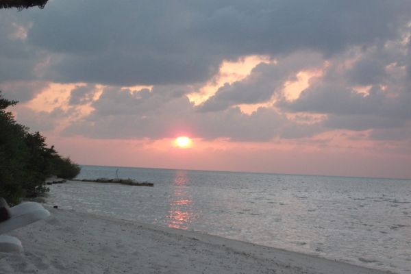 Paradise