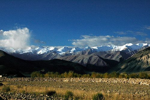 🌅 Day 4: Pangong Sunrise → Leh